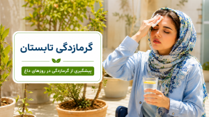 گرمازدگی تابستان، پیشگیری گرمازدگی